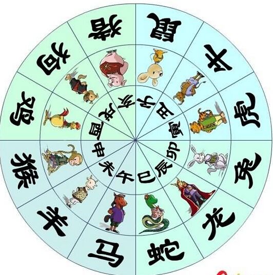 12生肖如何选手机号码?